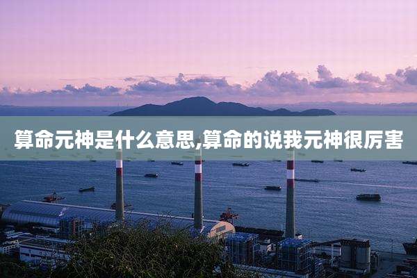 算命元神是什么意思,算命的说我元神很厉害