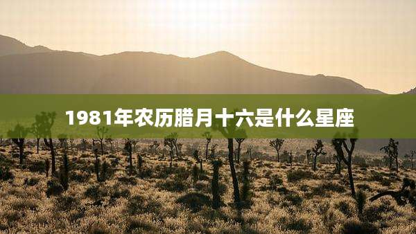 1981年农历腊月十六是什么星座