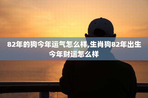 82年的狗今年运气怎么样,生肖狗82年出生今年财运怎么样