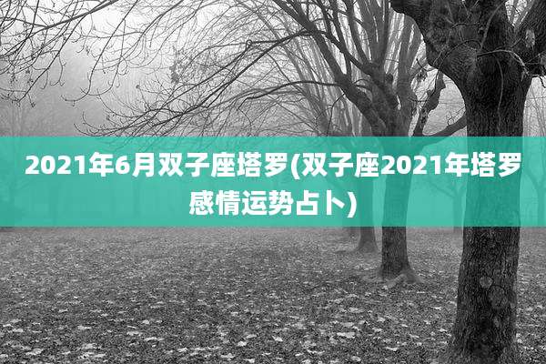 2021年6月双子座塔罗(双子座2021年塔罗感情运势占卜)