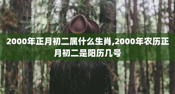 2000年正月初二属什么生肖,2000年农历正月初二是阳历几号