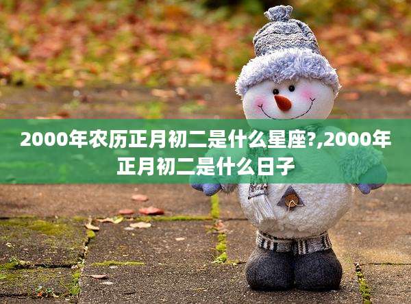 2000年农历正月初二是什么星座?,2000年正月初二是什么日子
