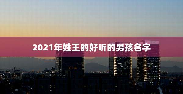 2021年姓王的好听的男孩名字