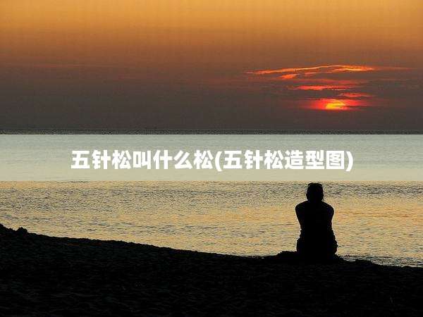 五针松叫什么松(五针松造型图)