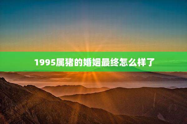 1995属猪的婚姻最终怎么样了