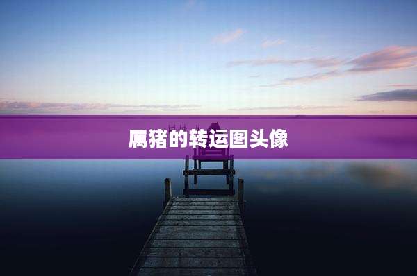 属猪的转运图头像