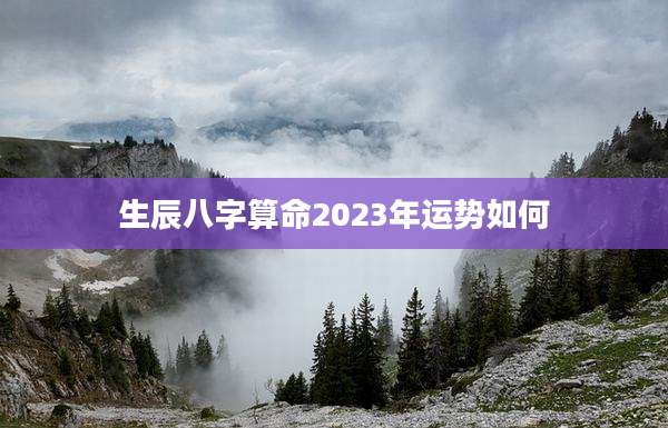 生辰八字算命2023年运势如何