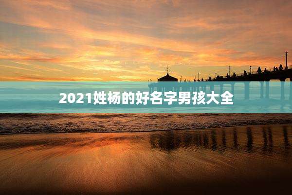 2021姓杨的好名字男孩大全