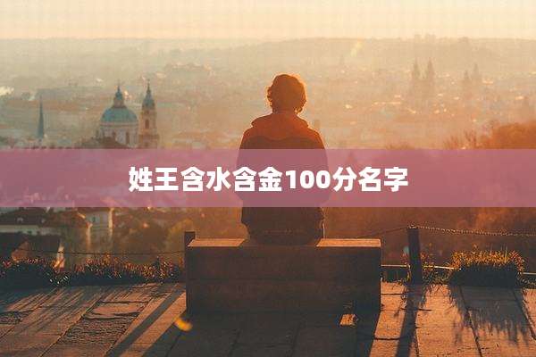 姓王含水含金100分名字