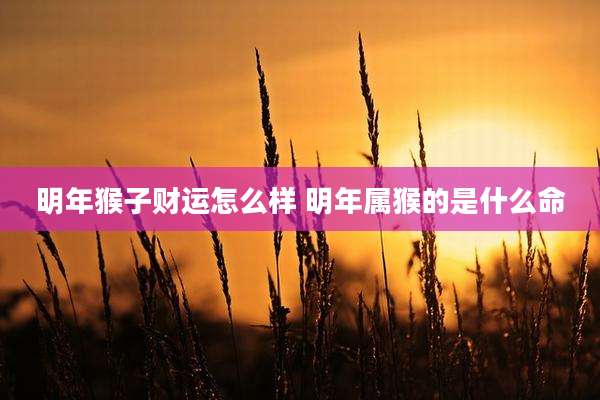 明年猴子财运怎么样 明年属猴的是什么命