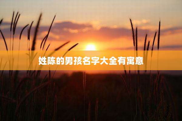 姓陈的男孩名字大全有寓意