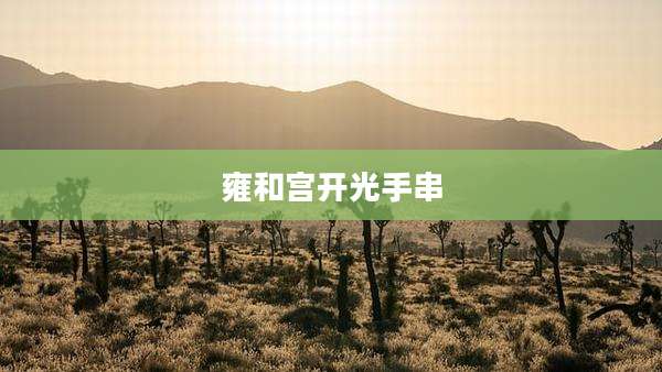 雍和宫开光手串