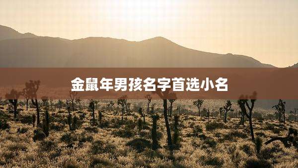 金鼠年男孩名字首选小名