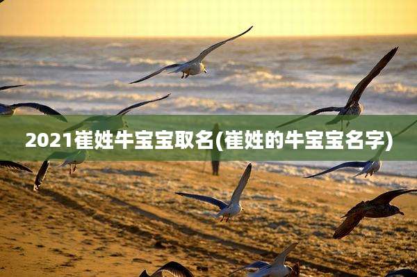 2021崔姓牛宝宝取名(崔姓的牛宝宝名字)