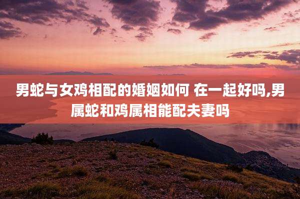 男蛇与女鸡相配的婚姻如何 在一起好吗,男属蛇和鸡属相能配夫妻吗