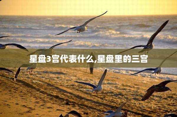 星盘3宫代表什么,星盘里的三宫