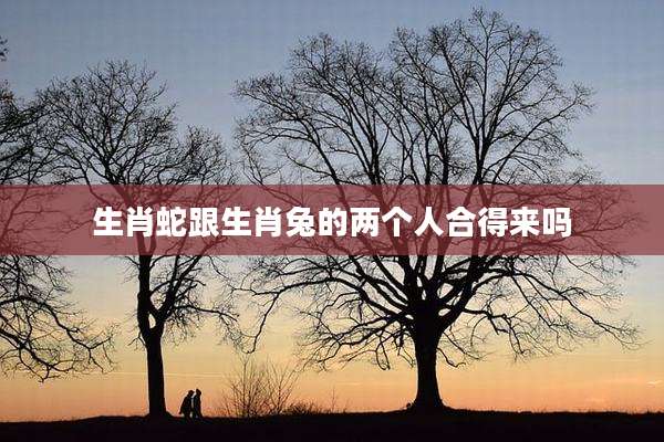 生肖蛇跟生肖兔的两个人合得来吗