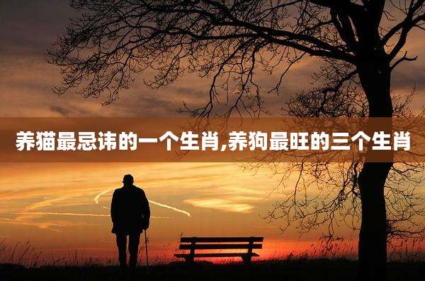 养猫最忌讳的一个生肖,养狗最旺的三个生肖
