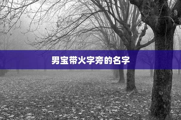 男宝带火字旁的名字