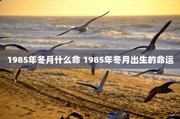 1985年冬月什么命 1985年冬月出生的命运