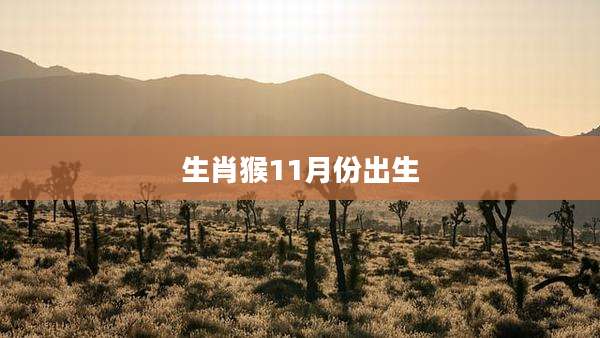 生肖猴11月份出生