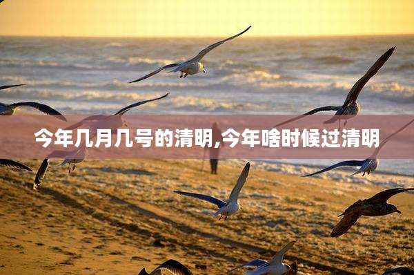 今年几月几号的清明,今年啥时候过清明