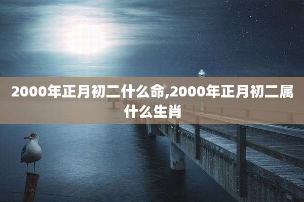 2000年正月初二什么命,2000年正月初二属什么生肖