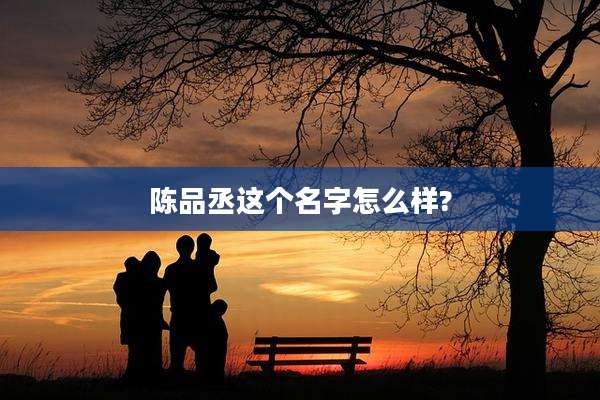 陈品丞这个名字怎么样?