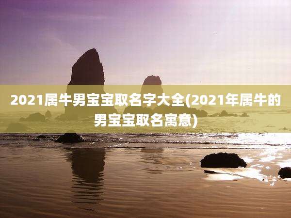 2021属牛男宝宝取名字大全(2021年属牛的男宝宝取名寓意)