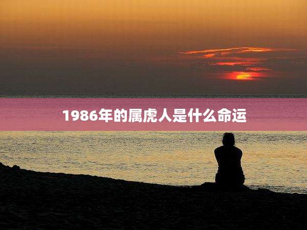 1986年的属虎人是什么命运