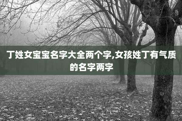 丁姓女宝宝名字大全两个字,女孩姓丁有气质的名字两字