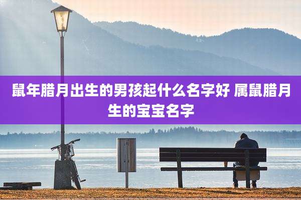 鼠年腊月出生的男孩起什么名字好 属鼠腊月生的宝宝名字