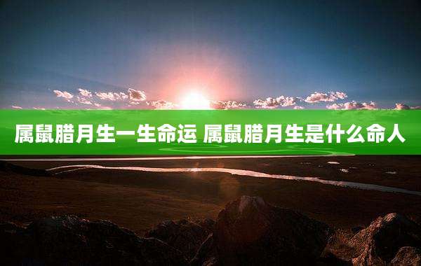 属鼠腊月生一生命运 属鼠腊月生是什么命人