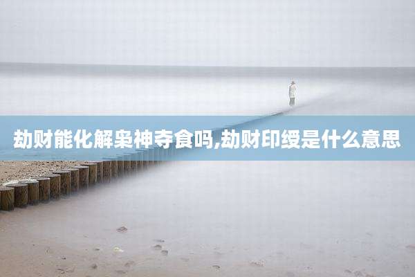 劫财能化解枭神夺食吗,劫财印绶是什么意思