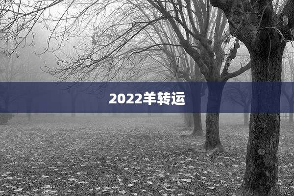 2022羊转运