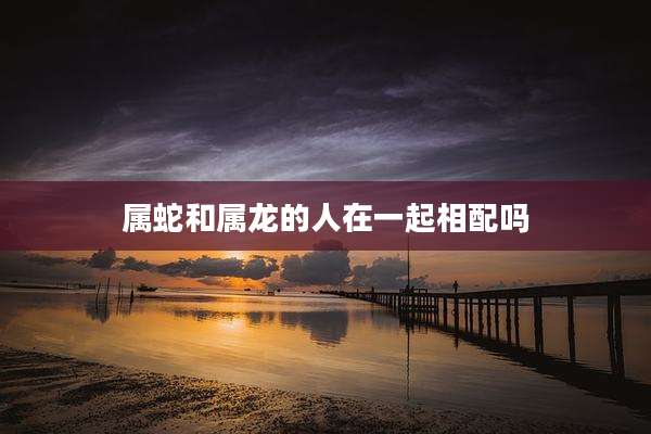 属蛇和属龙的人在一起相配吗