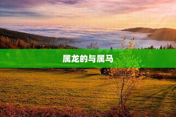 属龙的与属马