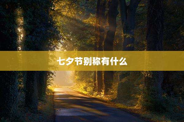 七夕节别称有什么