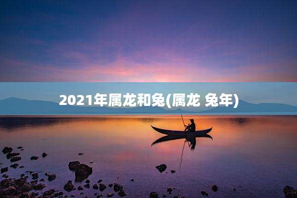 2021年属龙和兔(属龙 兔年)