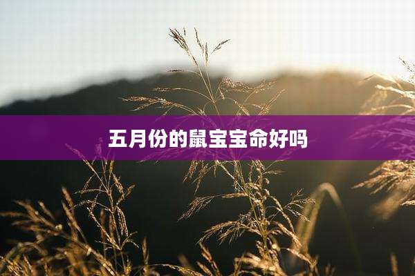 五月份的鼠宝宝命好吗