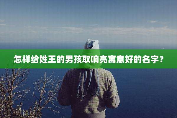 怎样给姓王的男孩取响亮寓意好的名字？