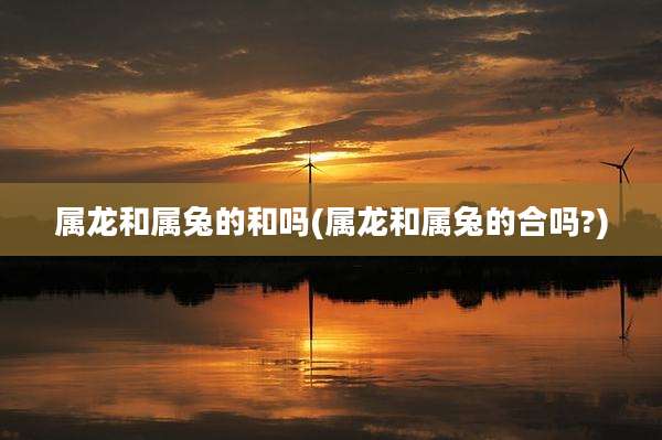 属龙和属兔的和吗(属龙和属兔的合吗?)