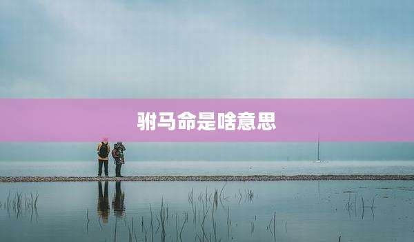 驸马命是啥意思