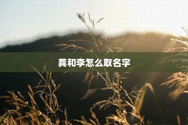 龚和李怎么取名字
