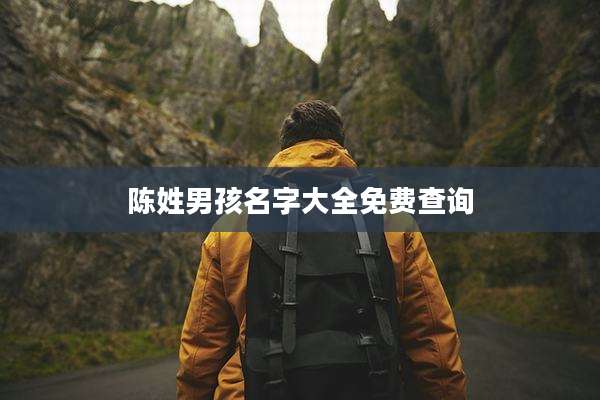 陈姓男孩名字大全免费查询