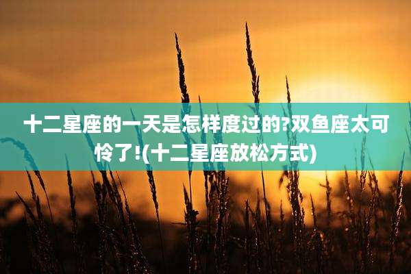 十二星座的一天是怎样度过的?双鱼座太可怜了!(十二星座放松方式)