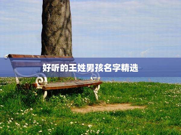 好听的王姓男孩名字精选