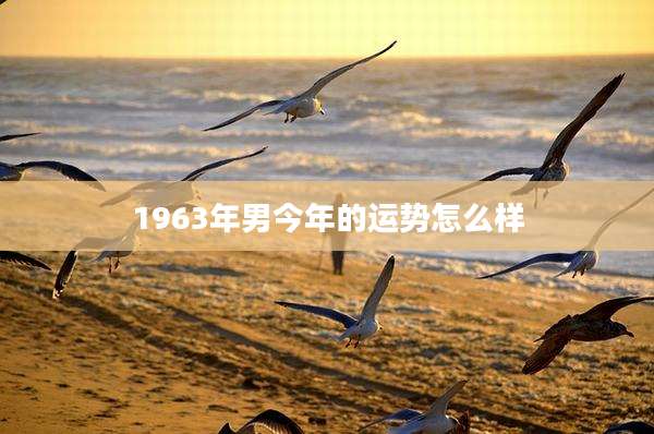 1963年男今年的运势怎么样