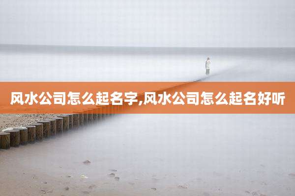 风水公司怎么起名字,风水公司怎么起名好听
