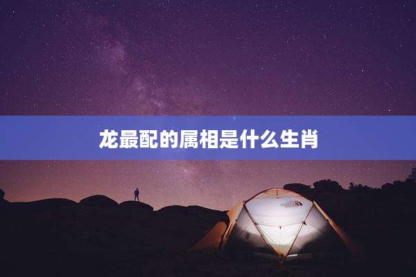 龙最配的属相是什么生肖